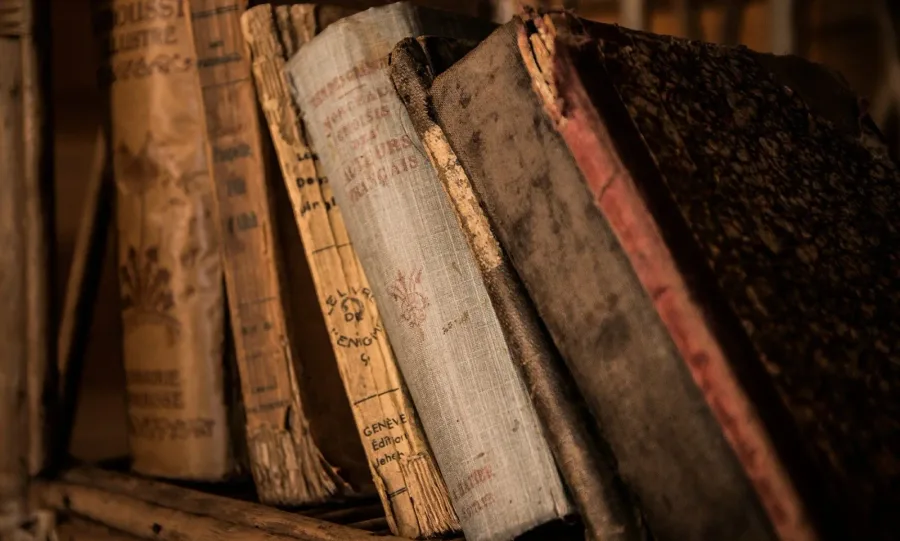 Bücherregal aus einer Sammlungsauflösung